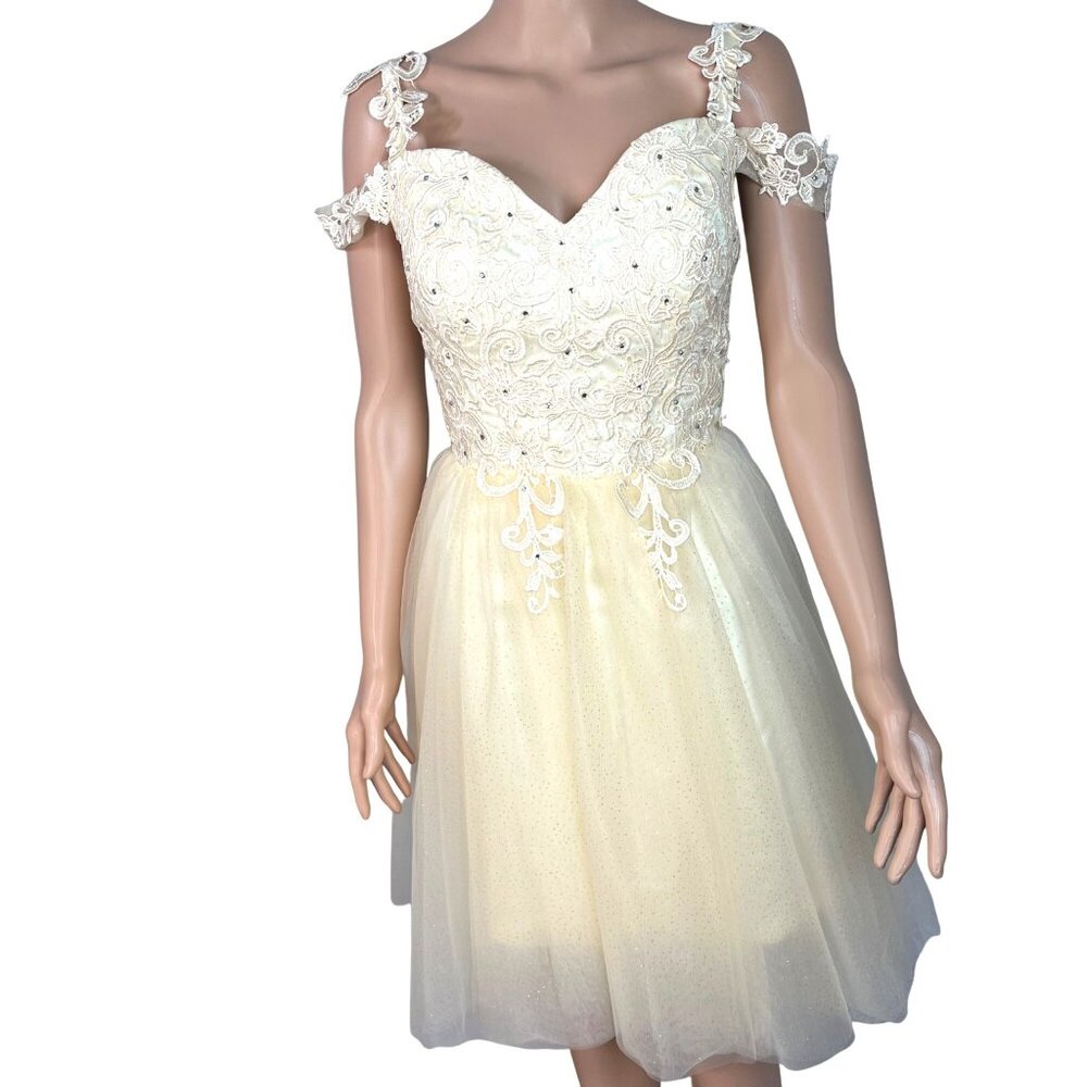 Ivory & Cream Lace & Tulle Short Dress With Rhinestone Accents Size 8 Elegant NW